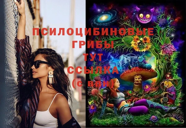 наркотики Белокуриха