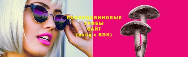 мдпв Беломорск