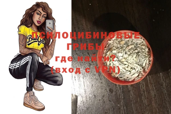 мдпв Беломорск