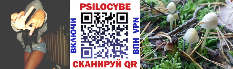 Галлюциногенные грибы Cubensis  где купить наркоту  Кувшиново 